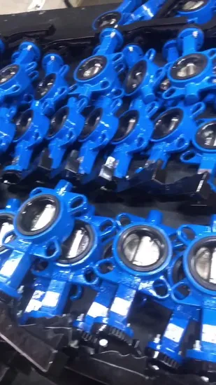Dnv Lr ABS CCS Double Plate Wafer Check Valve Butterfly Marine Valve